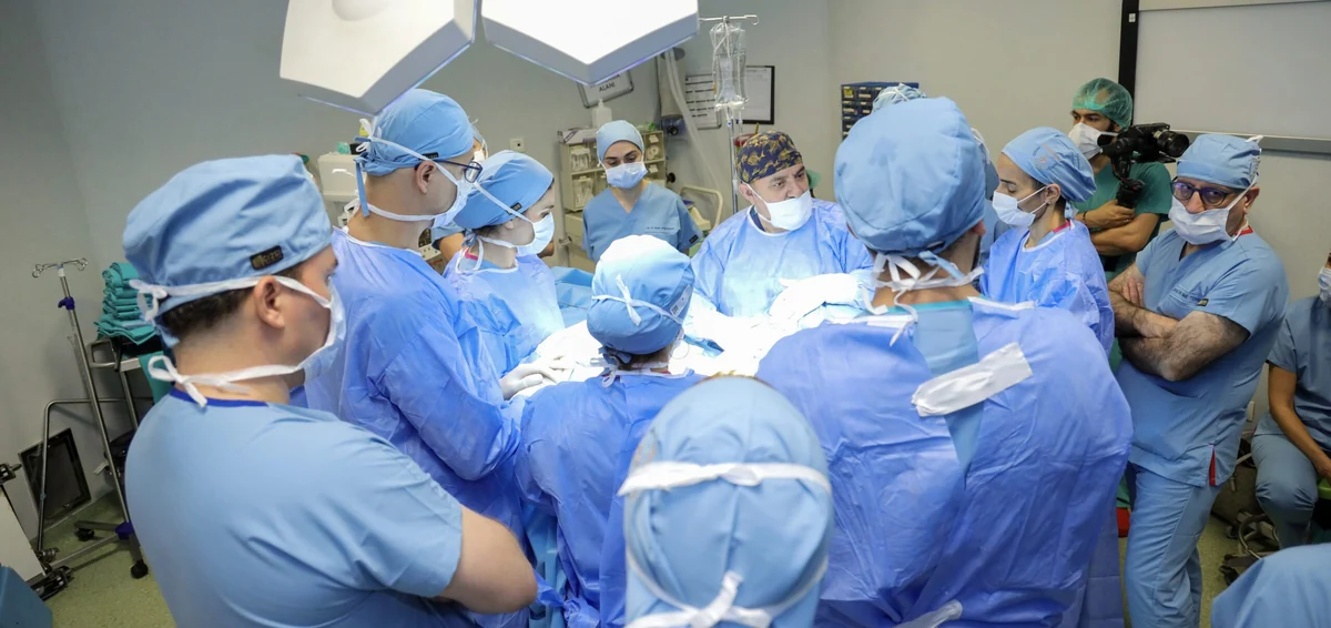 Genital Fat Grafting: Understanding the Learning Pathway